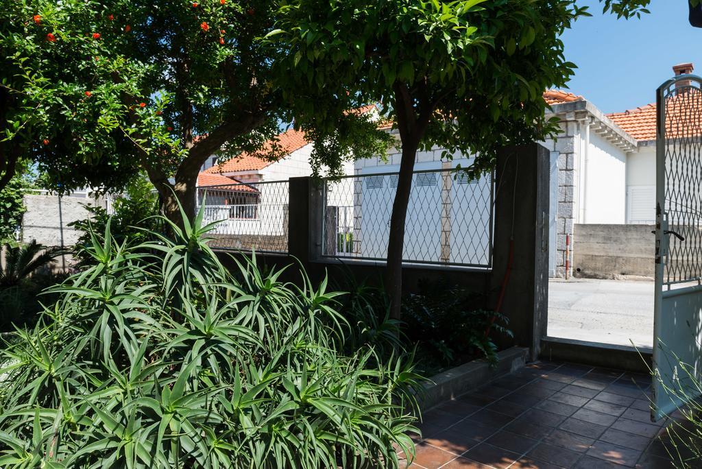 Veve Dubrovnik